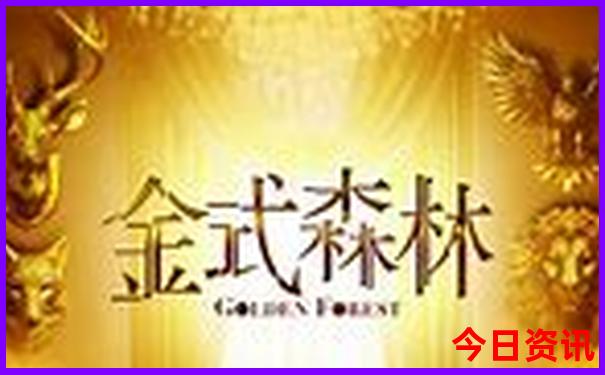 老人游黄山最轻松路线